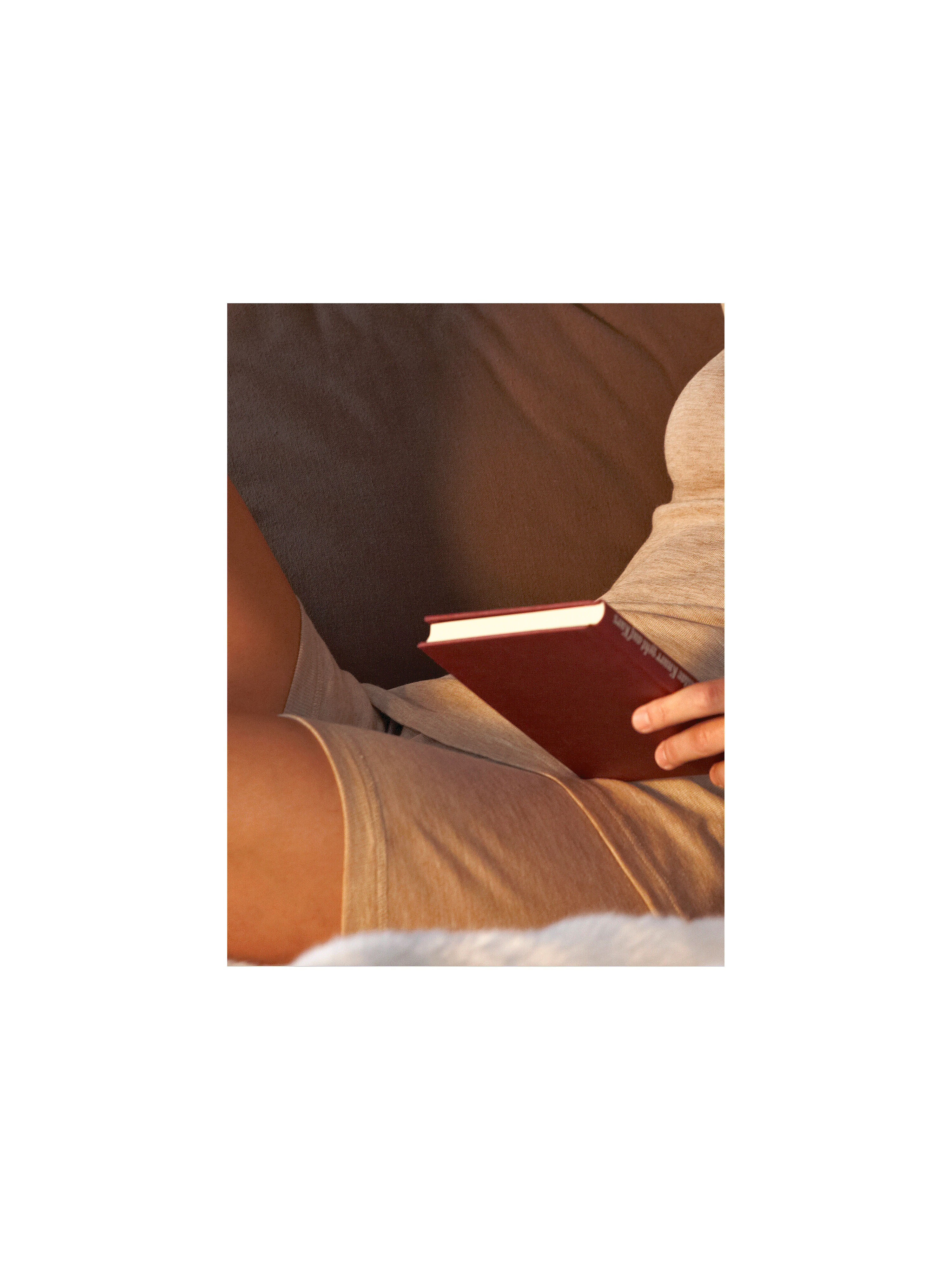 Image of Full briefs Intherm brown