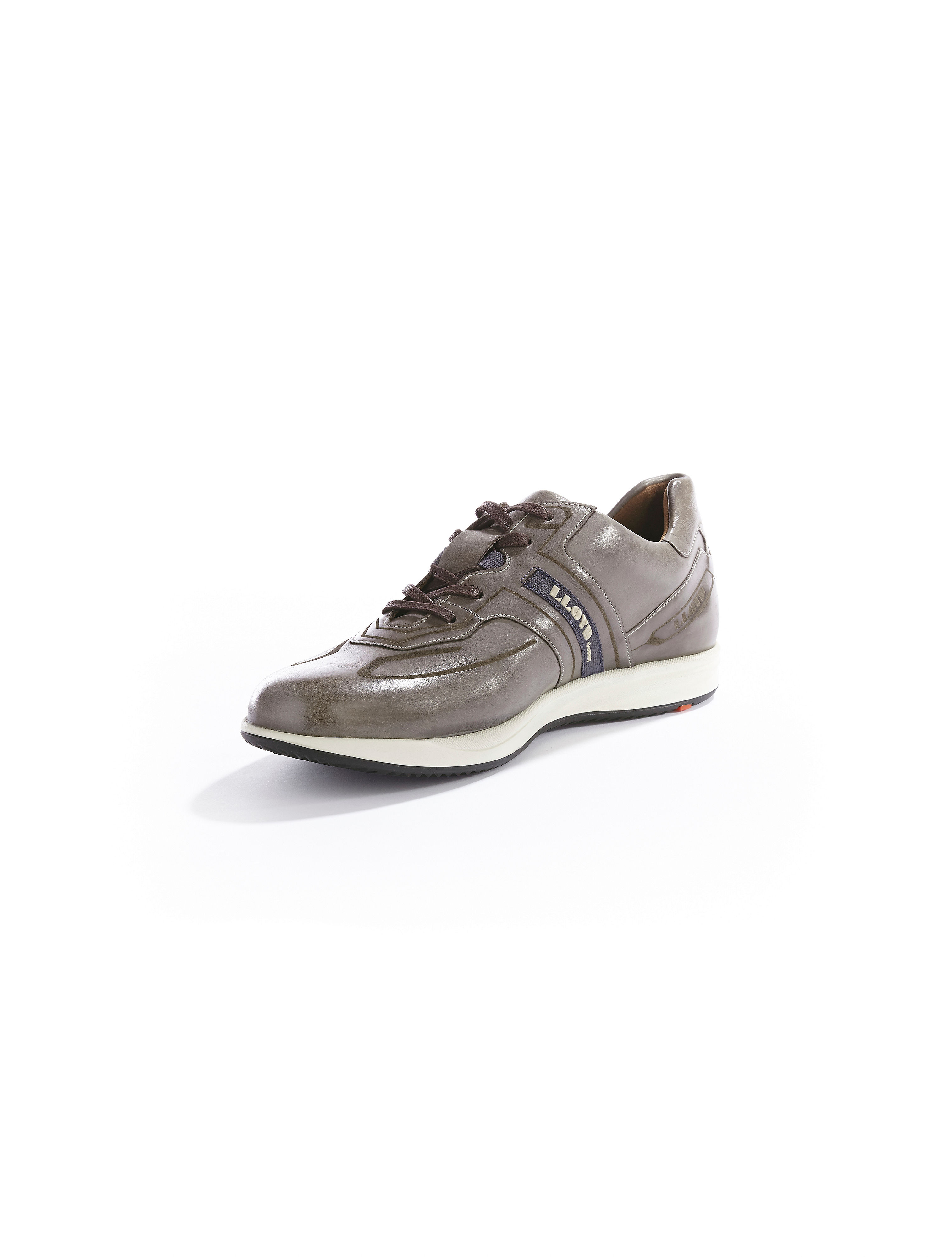 Image of Trainers Lloyd grey