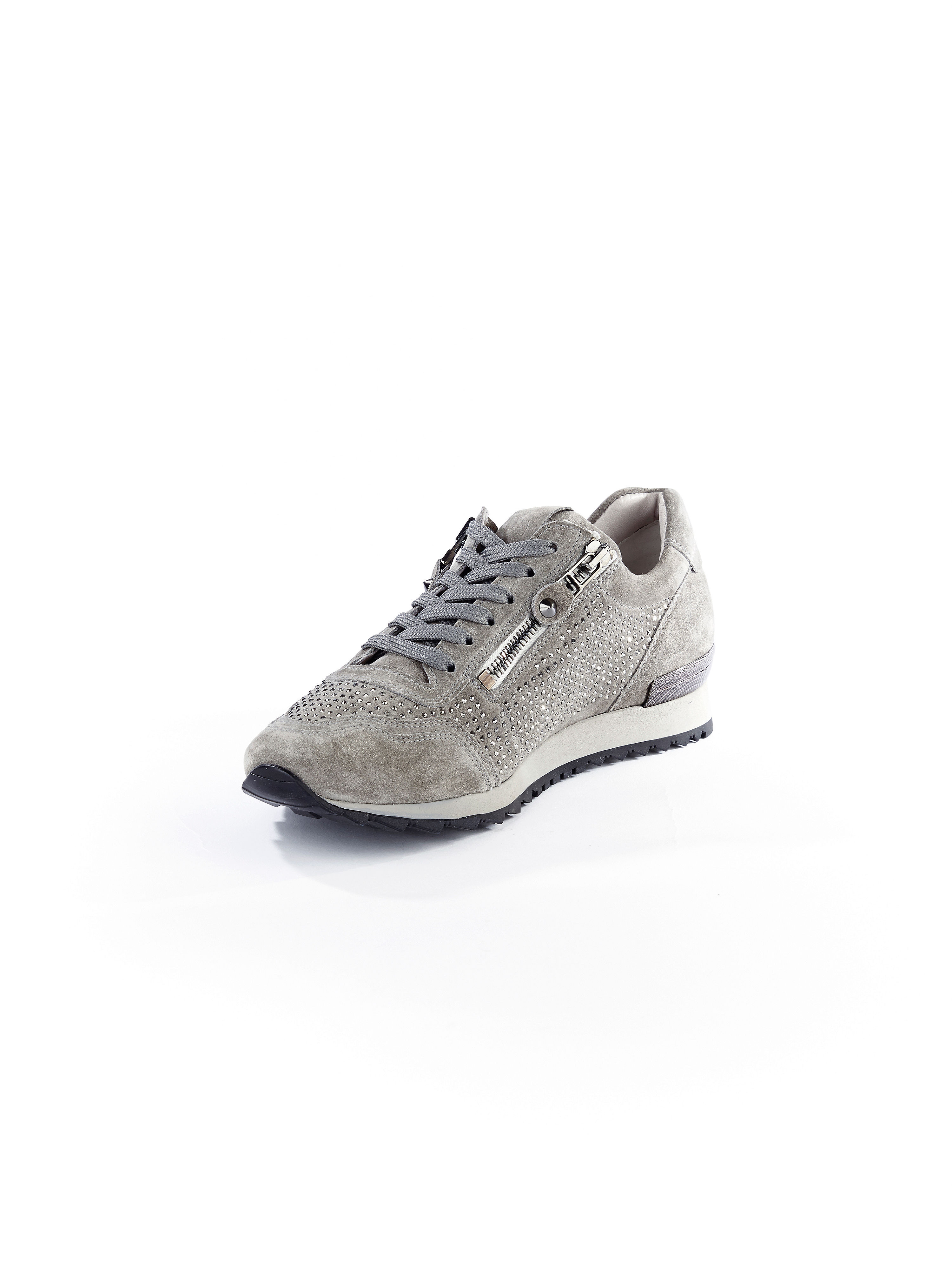 Image of Trainers Kennel & Schmenger grey